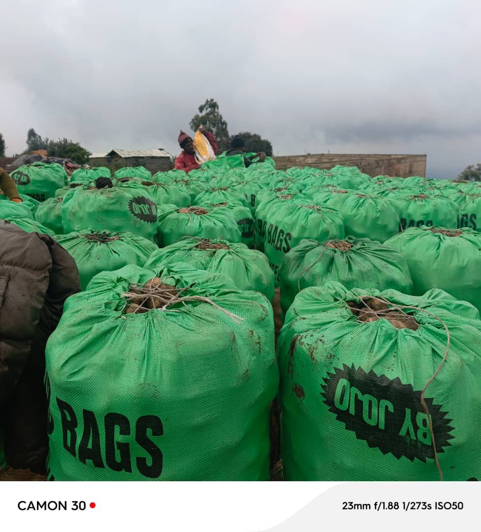BIODYNAMIC FARMING CIG cover picture