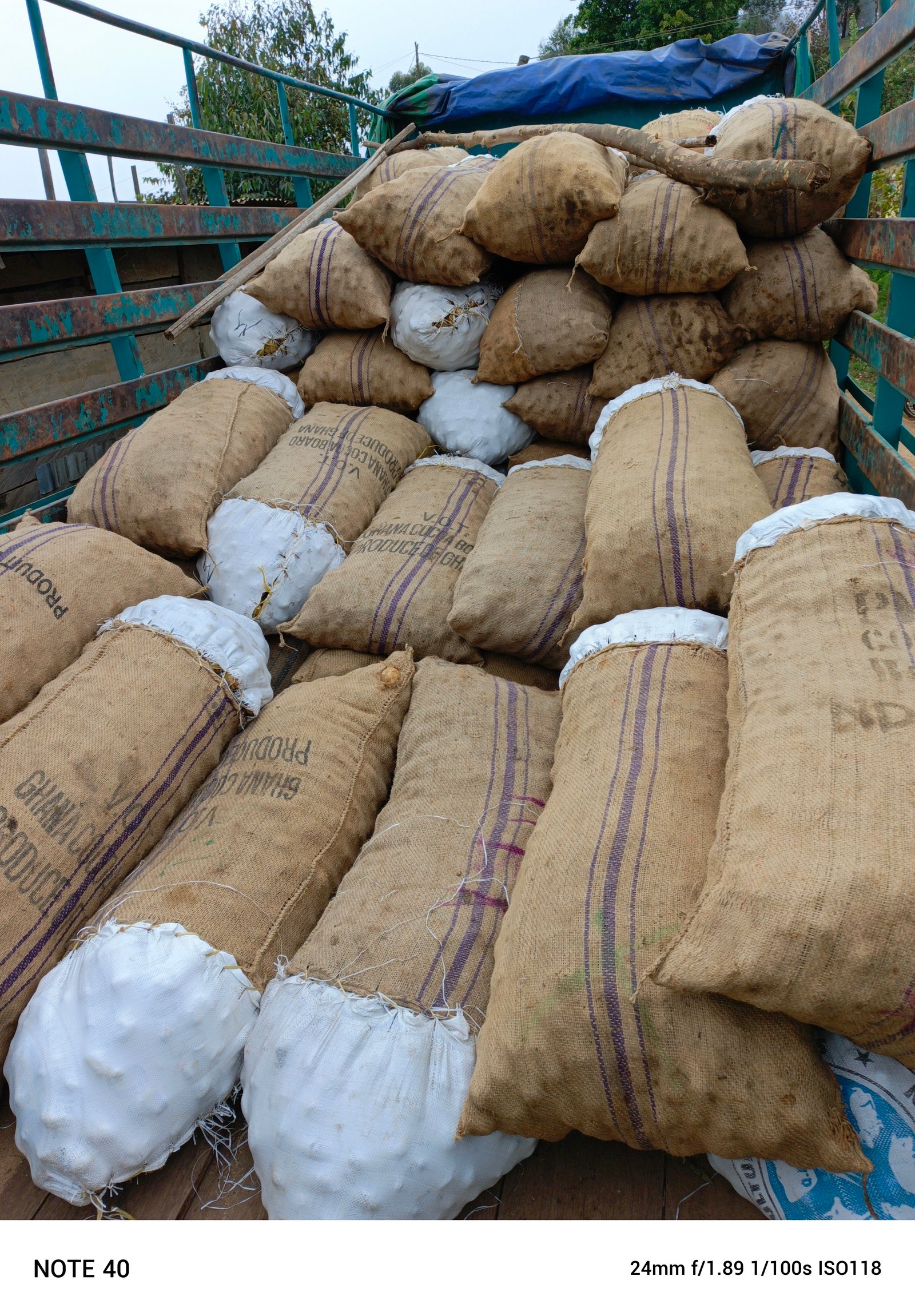 MARITA IRISH POTATOES FARMERS COOPERATIVE SOCIETY (MAIPOFA-BOD) cover picture