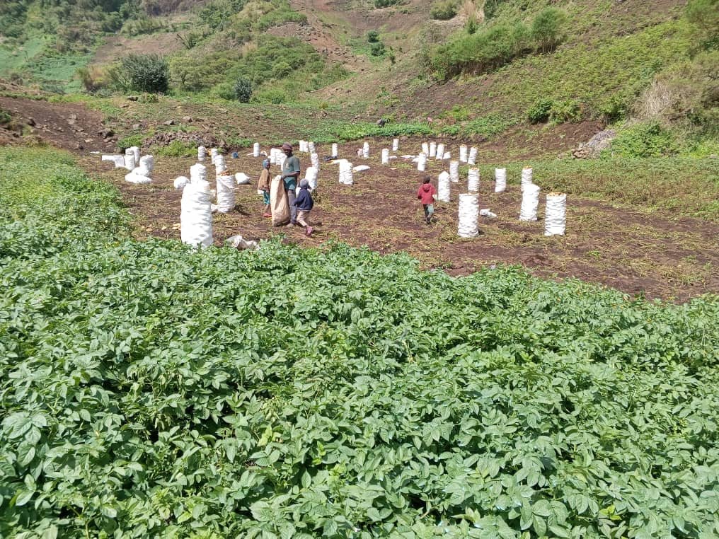 I WANT TO TALK ABOUT THE SIMILAR